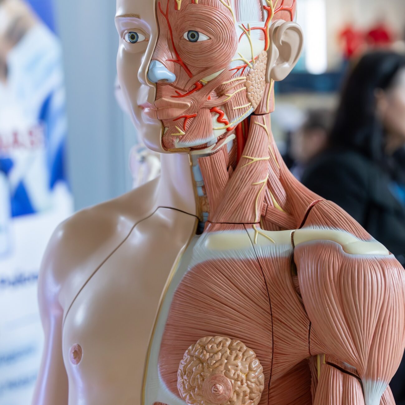 505829969_683619777852208_3181725195595384493_n